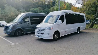 Mini-Bus